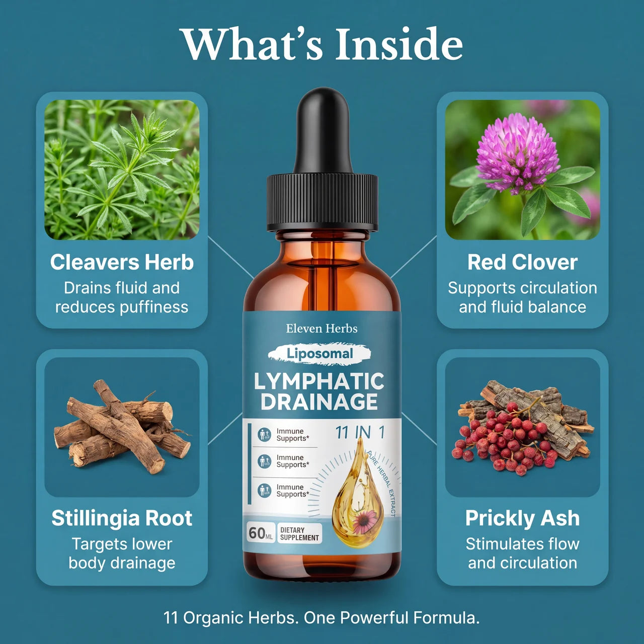 Eleven Herbs Daily Lymph Drops